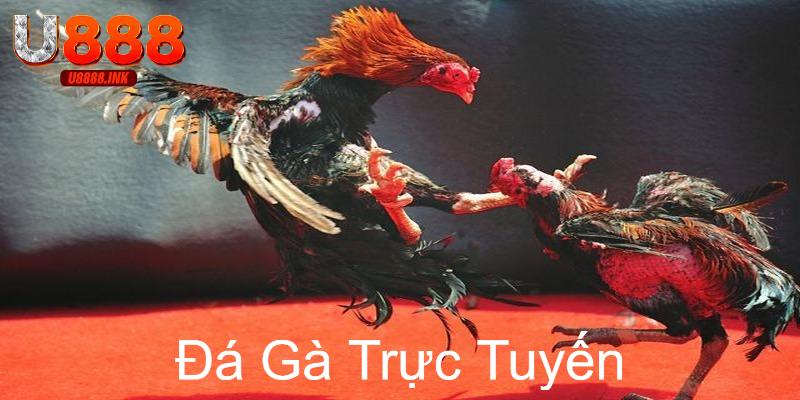 da ga truc tuyen 0