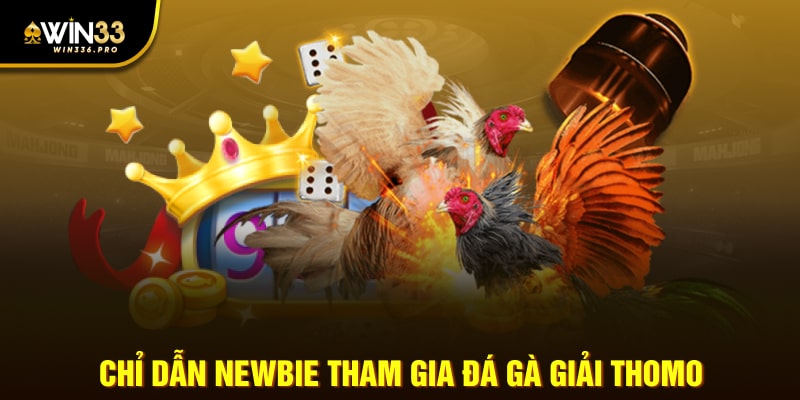 Chỉ dẫn newbie tham gia đá gà giải thomo 