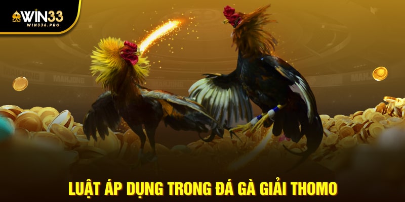 Luật áp dụng trong đá gà giải thomo 